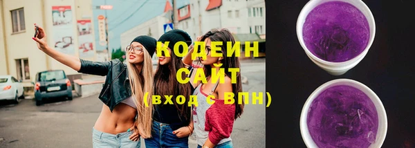 дмт Лабытнанги