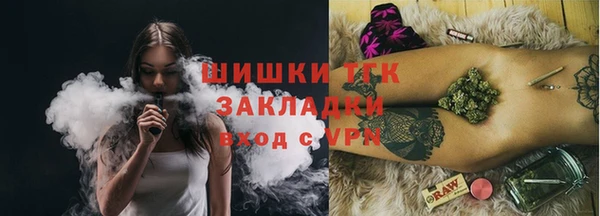 дмт Лабытнанги