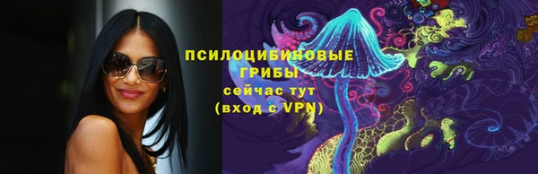 спиды Сосновоборск