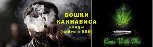 дмт Лабытнанги