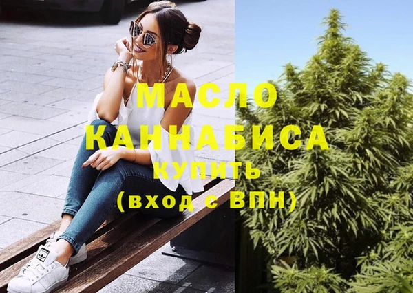 дмт Лабытнанги