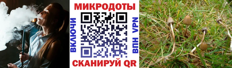 Галлюциногенные грибы мицелий  Мончегорск 