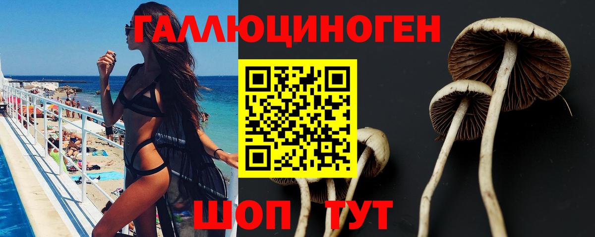 Галлюциногенные грибы Psilocybe  Вход с VPN  Мончегорск 