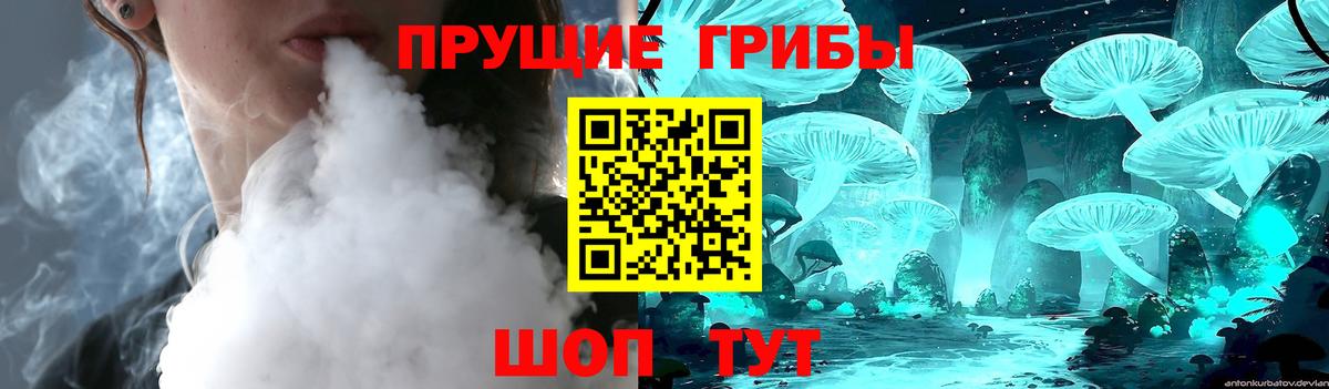 Галлюциногенные грибы GOLDEN TEACHER Мончегорск